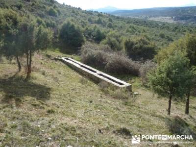 Senda Genaro - GR 300 - Embalse de El Atazar